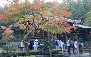 国内の旅・テーマのある旅