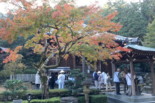 四国八十八ケ所とＢ級グルメ2019年２月スタート