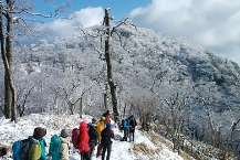 冬のおすすめ登山ツアー特集