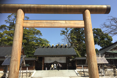 冬のおすすめツアー特集