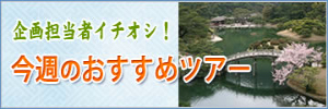 毎週金曜日更新！企画担当者イチオシ 今週のおすすめツアー