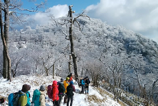 比叡山三塔巡拝「一日回峰行」