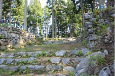 日本各地の城址をめぐる「城郭の旅」