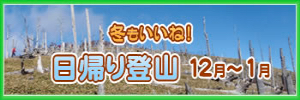 日帰り登山12月～1月